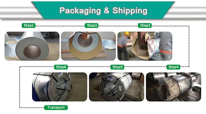 0.25 Thickness Color 9003/9016 Prepainted Galvanized Steel Coil