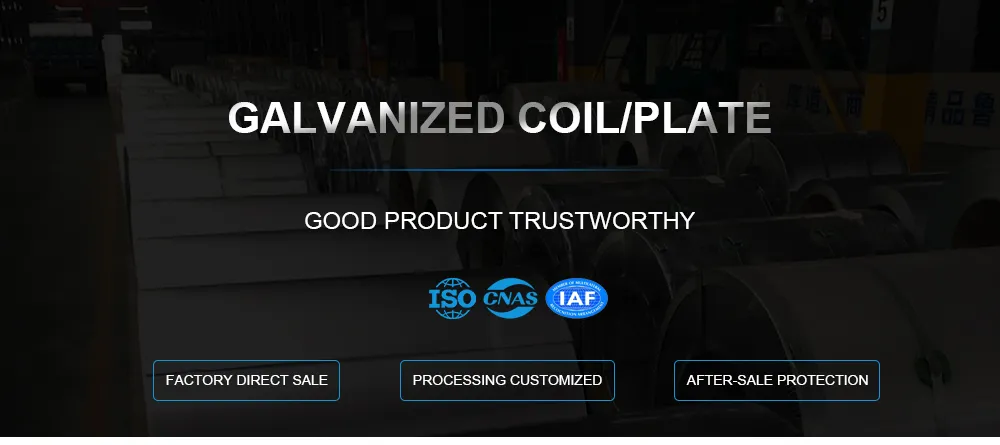 12mm Galvanized Steel Coil