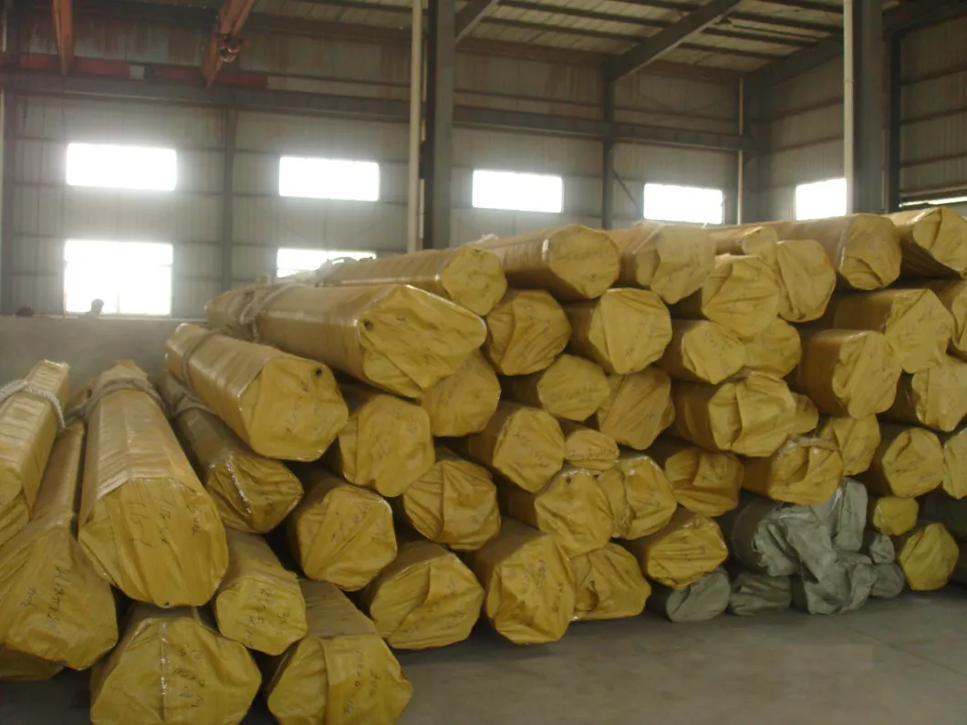 A312 Tp310s Stainless Steel Seamless Pipe