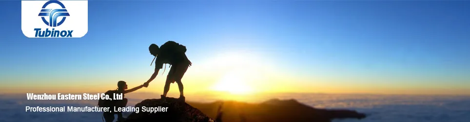 A312 Tp310s Stainless Steel Seamless Pipe