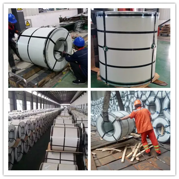 Anti-Bacteria PPGI/PPGL Prepainted Galvanized Steel Coil Food Grade