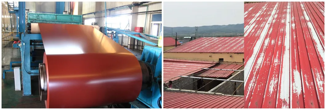 Anti-Bacteria PPGI/PPGL Prepainted Galvanized Steel Coil Food Grade