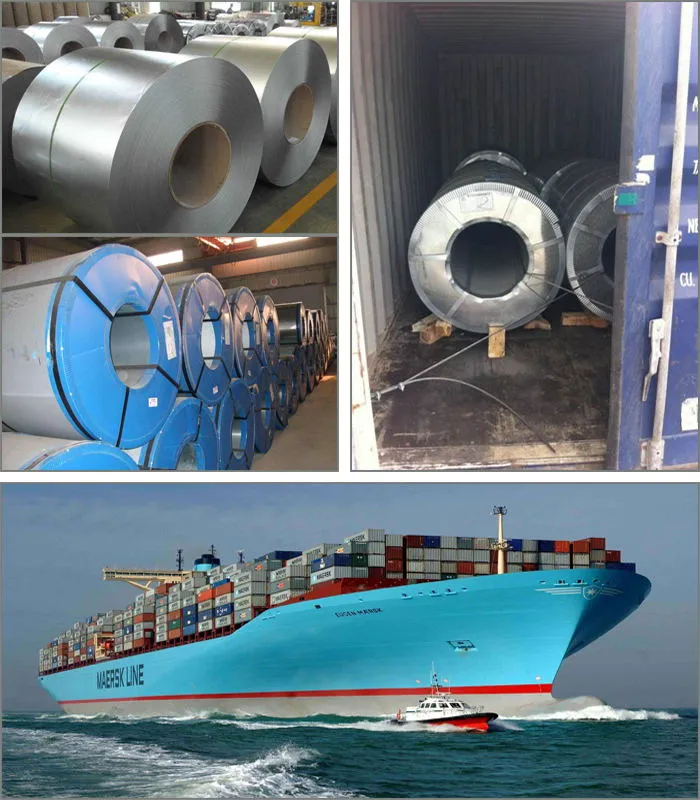 Best Quality The Hot Sale Galvanized Steel Coil Price