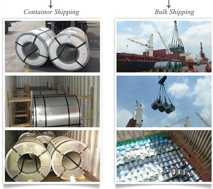 Best Quality The Hot Sale Galvanized Steel Coil Price