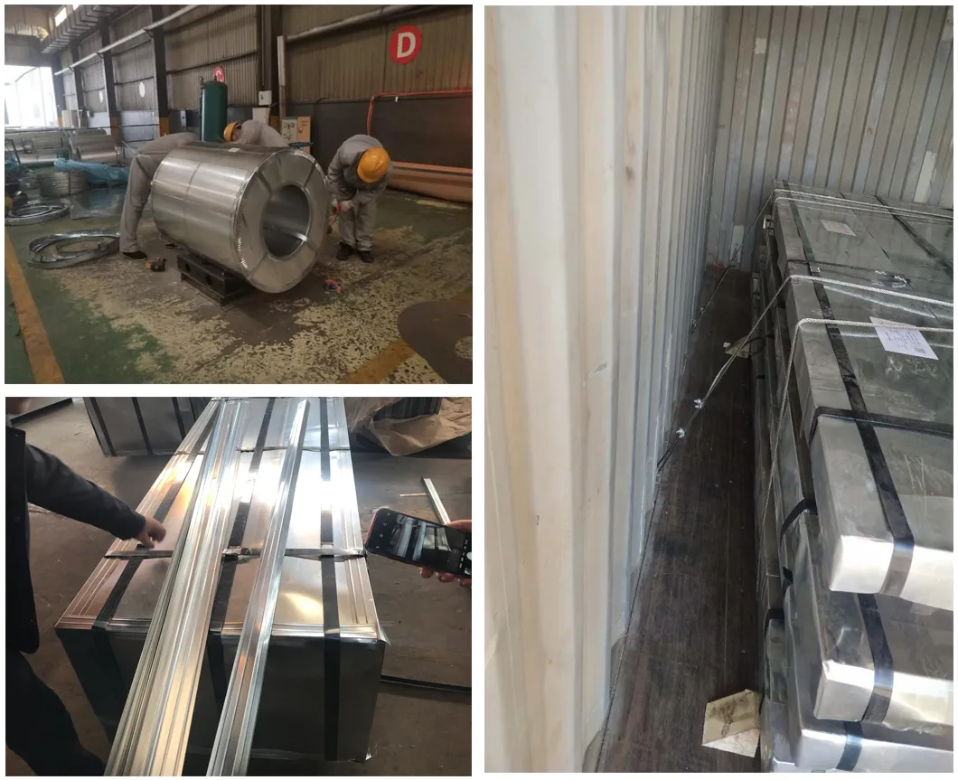 Building Material SAE1008 Pickled and Oiled Mild Steel Coil