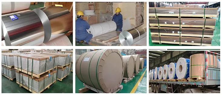 China Hot Rolled St37 AISI 1010 1020 1045 C20 C45 Ck45 Ss400 Ss41 ASTM A36 10mm Mild Iron Carbon Steel Plate