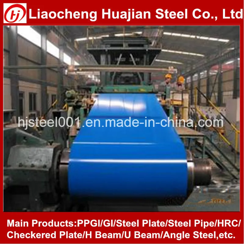Color Coated Coil/ PPGI for Building