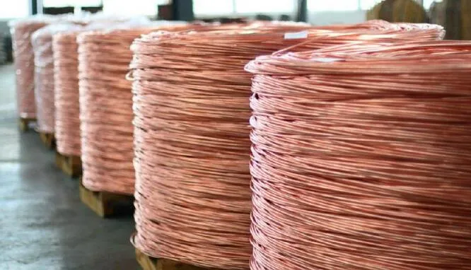 Factory Direct Supply Copper Wire/Copper Scrap