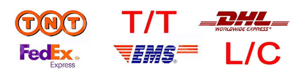 Factory Iron 201 202 301 303 304 309S 310S Grade GB RoHS Cold Rolled Stainless Steel Angle