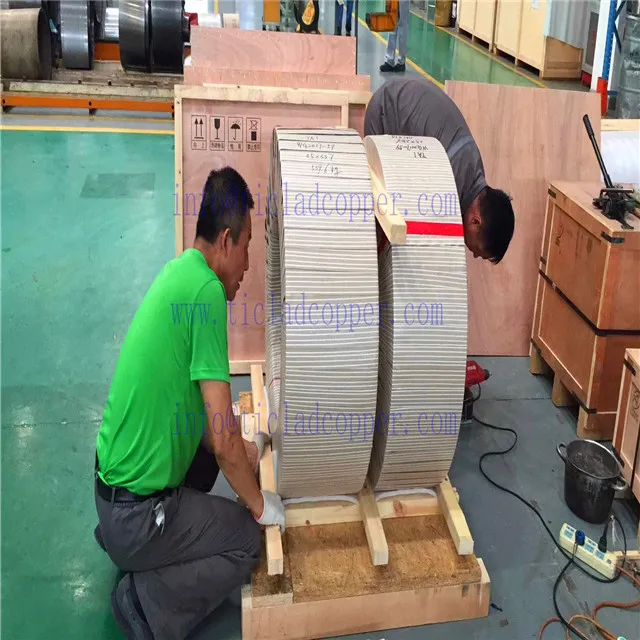 Gr1/Gr2/Gr5 ASTM B381 Forged Titanium Plate