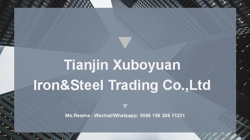 High Quality Hot Rolled Steel Plate/ Sheet