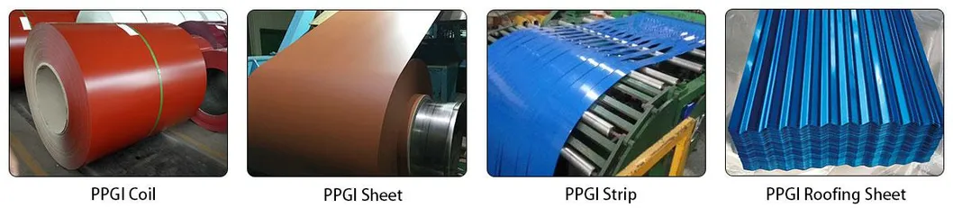 High Quality Steel Coils PPGI PPGL Coil Steel Coil PPGI
