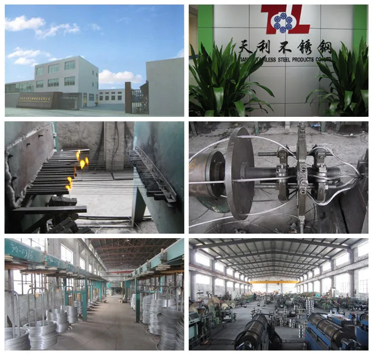 Hoist Electro Galvanized Steel Wire Rope 6*36ws-Iwrc