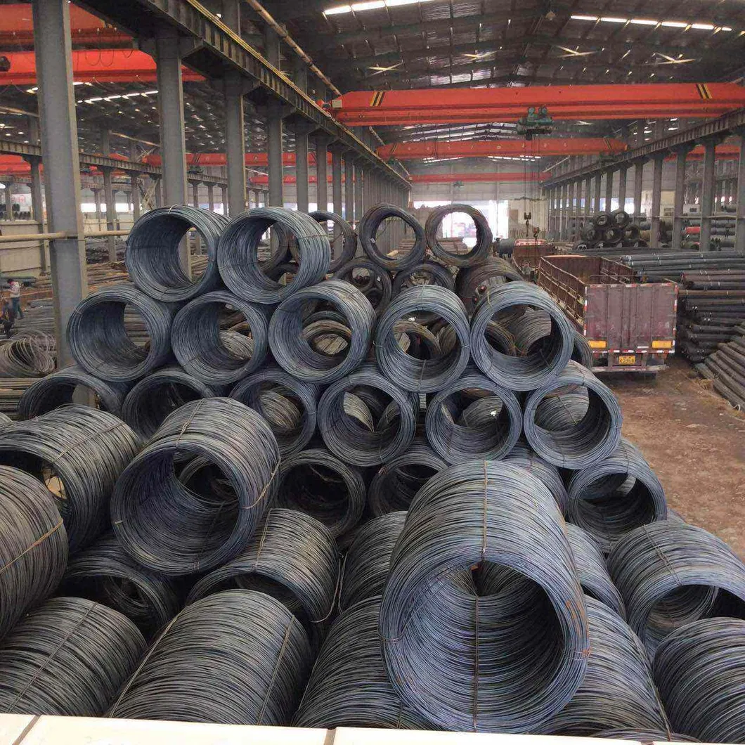 Hot Rolled ASTM A36 Ss400 St37-2 St52-3 S235jr S355jr Q235 Q345 SAE1020 1250mm Carbon Steel Coil /Strip with Low Price