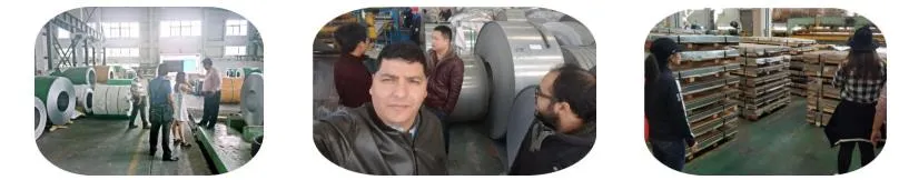 Inconel625 N06625 Gh3625 Ns3306 Ncf625 2.4856 Nickel Alloy Steel Tube/Pipe