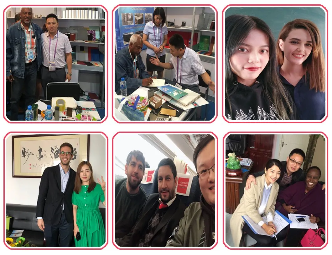 Matt Finish 2.8/2.8 Tin Coating Dr8 Metal Tinplate Sheet