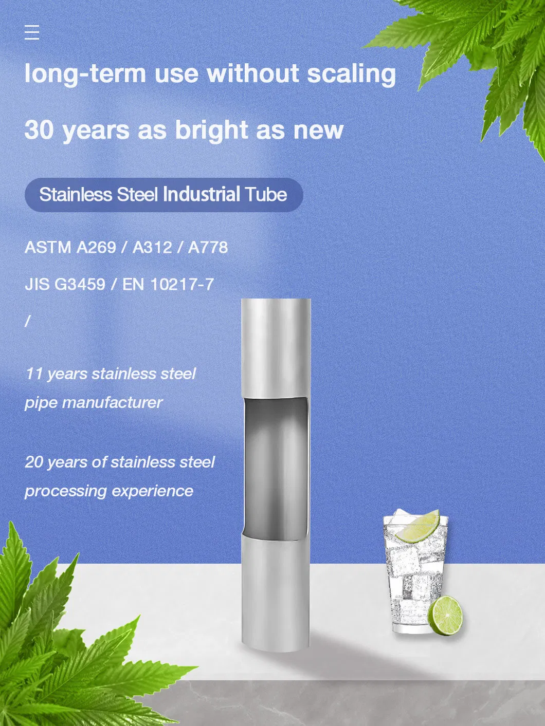Pickled 324mm to 2000mm Dia 304 304L 316 316L Ss Welded Pipe