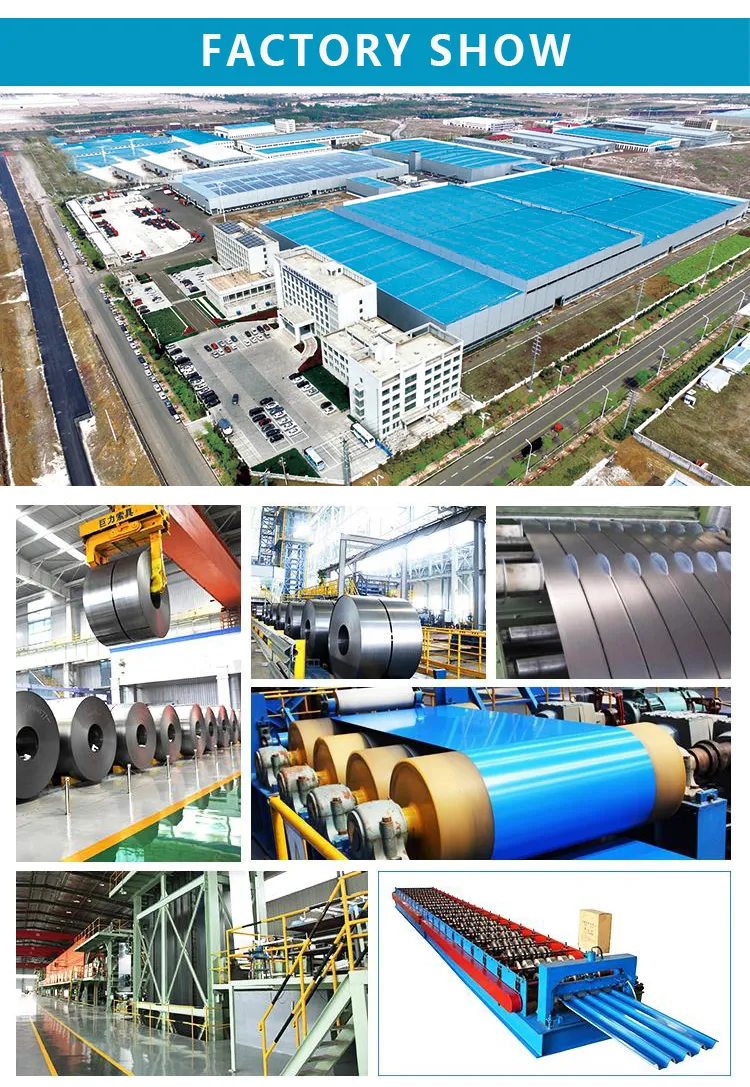 PPGI Galvanized Steel Coil for Roofing Sheet PPGI Roofing Sheet 28 and 30 Gauge Rolled PPGI Plate Ral Color Coated PPGL