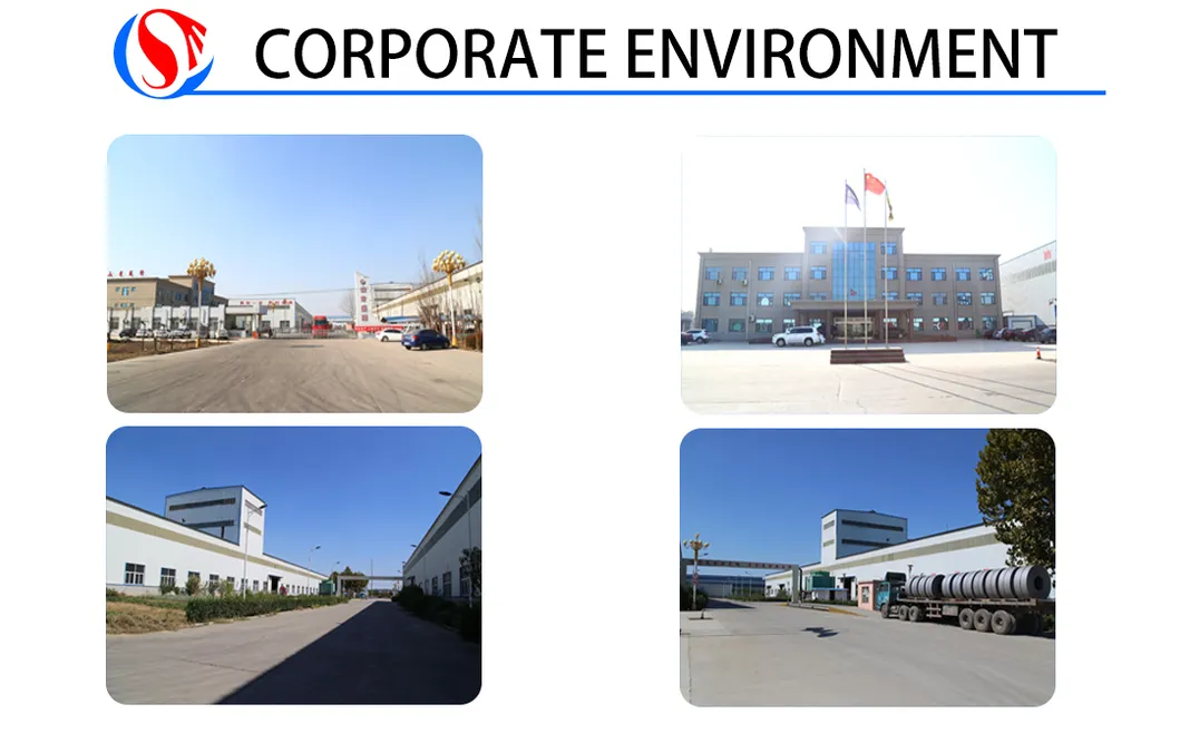 PPGI/HDG/Gi/SPCC Dx51 Zinc Cold Rolled/Hot Dipped Galvanized Steel Coil