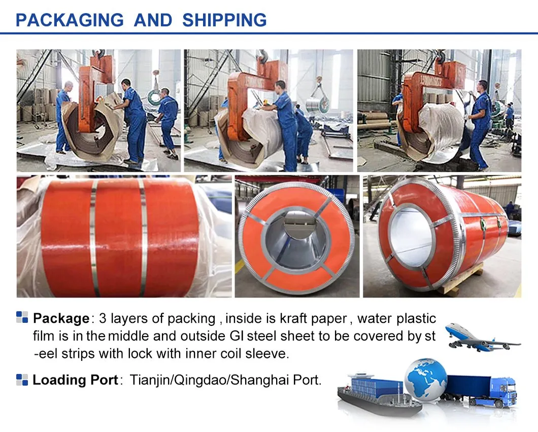 PPGI Steel Coils Color Matt PPGI Prepainted Galvanized Steel Coil