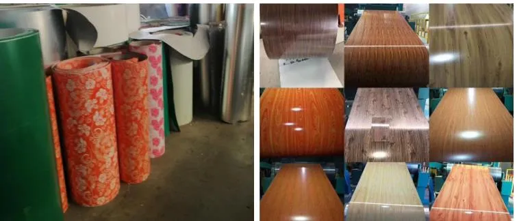 Prepainted Color Coated Tangshan Supplier Hot Products Steel Coil