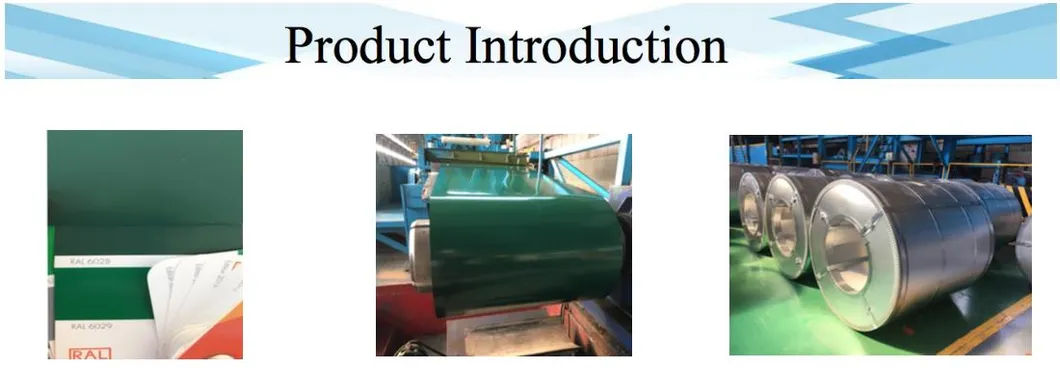 Prepainted Galvanized Steel Coil Akzonobel Painting Brand for Home Applicances