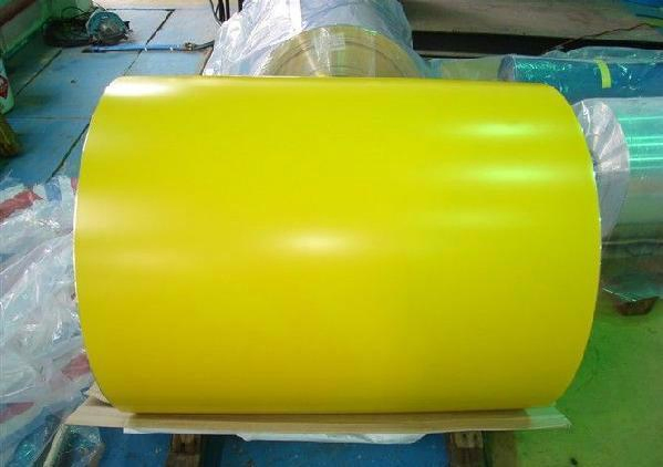 Prepainted Galvanized Steel Coil for Building