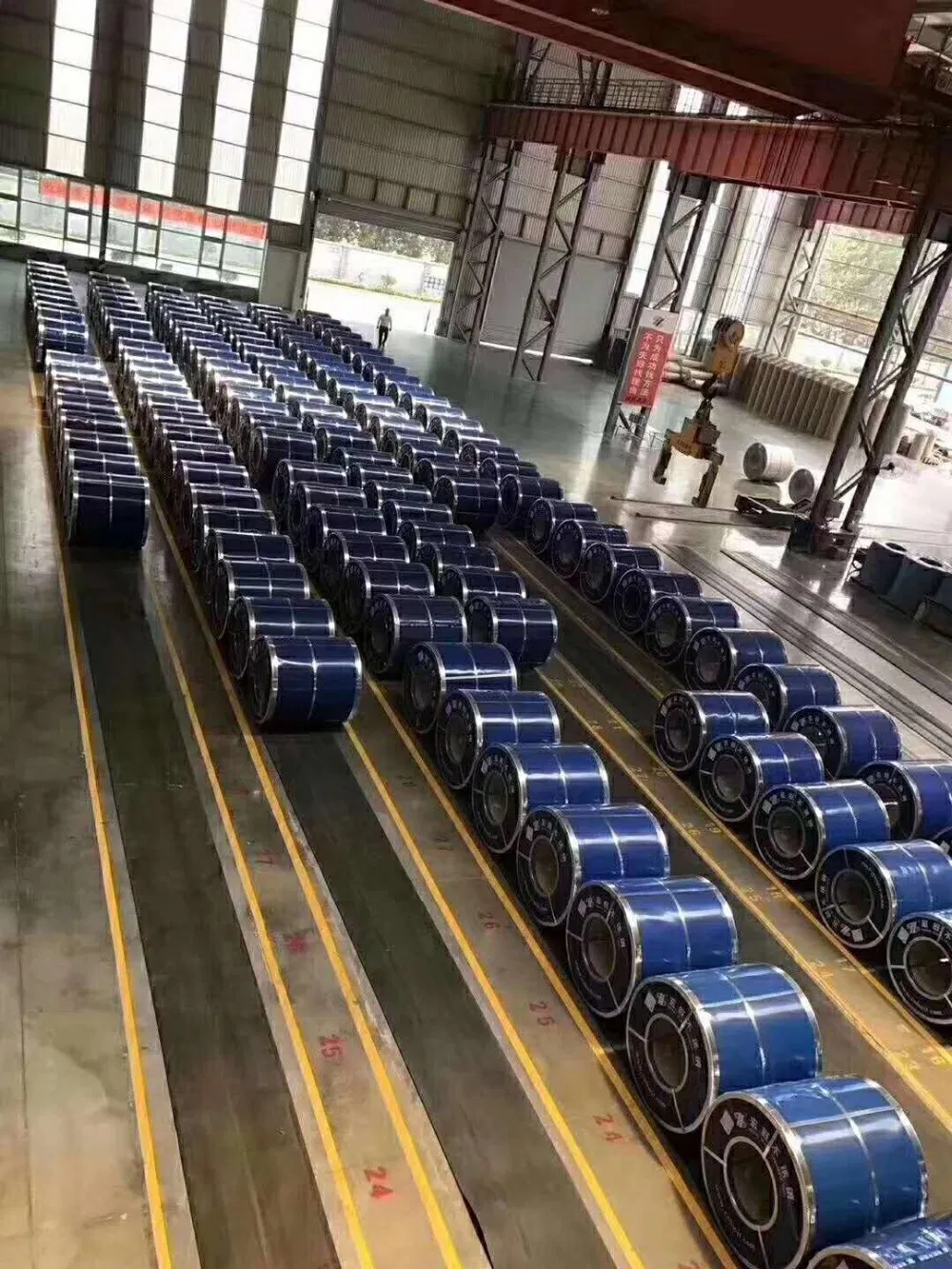 Prepainted Galvanized Steel Coil for Building