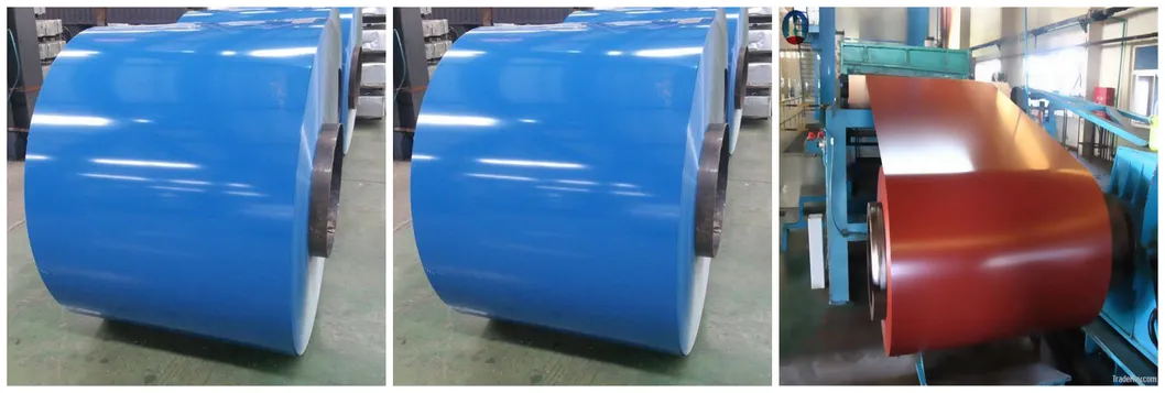 Prepainted Galvanized Steel Coil for Building