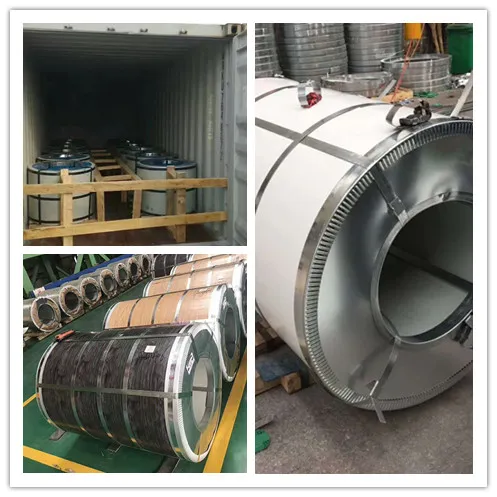 Prepainted Galvanized Steel Coil for Building