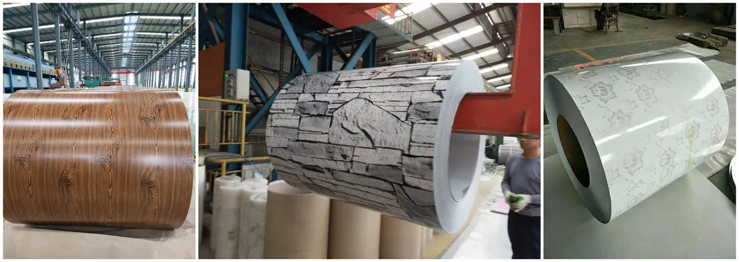 Prepainted Galvanized Steel Coil for Building