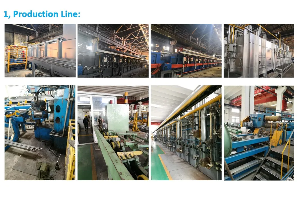 Stainless Steel, Seamless Pipe, Tp 316L, U Tube