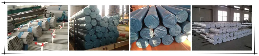 Stainless Steel Seamless Tubes and Pipes Astma312A213 A269 A790 A789