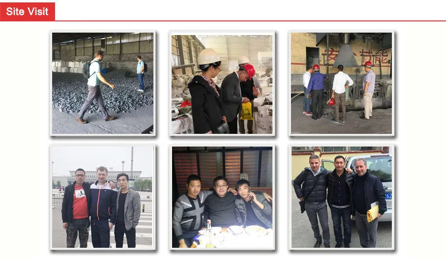 The Manufacturer Supply Small Size Simg Nodulizer